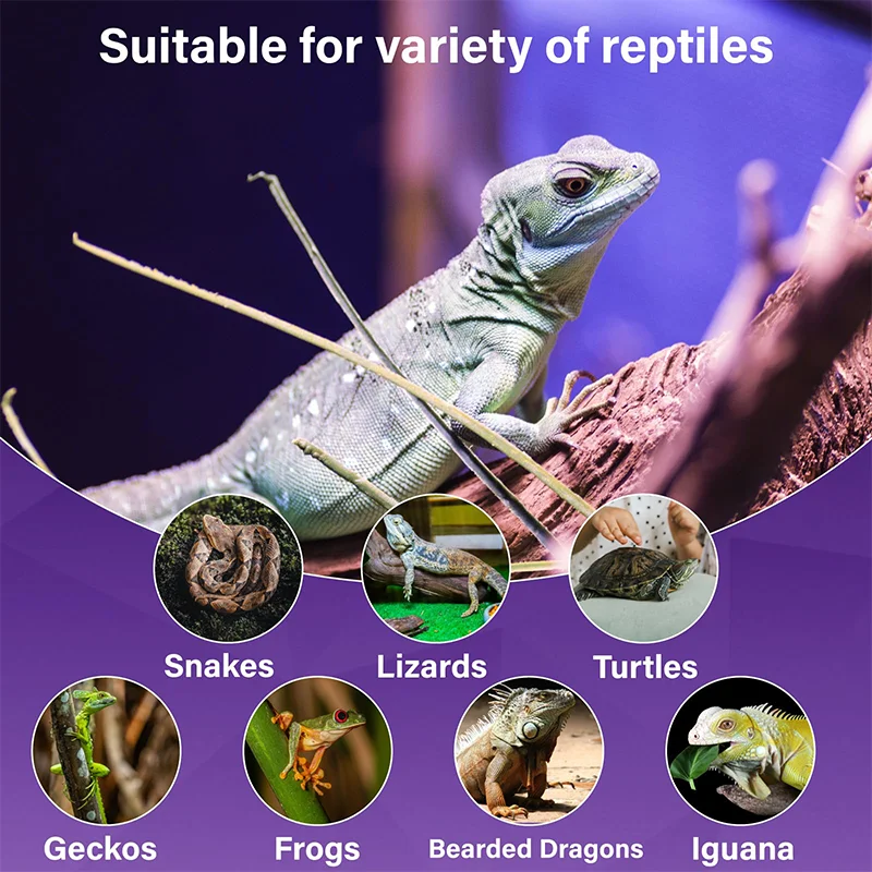 Infrared Heating Lamp Reptile Night Heating Light 25W-100W Simulated Moonlight Lamp Bulb Amphibians Pets Lives Stock