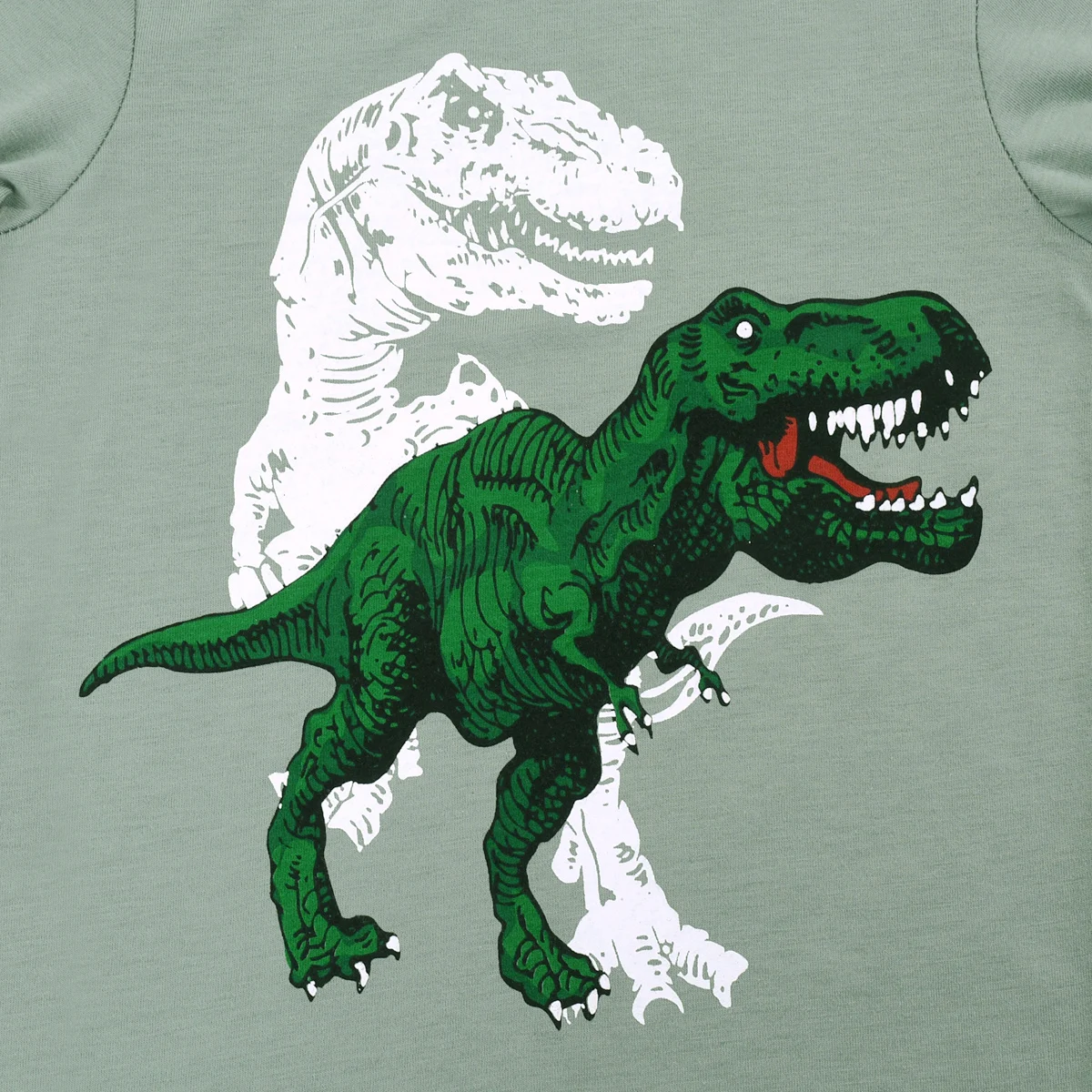 Kids Dinosaur Pajama Set 4