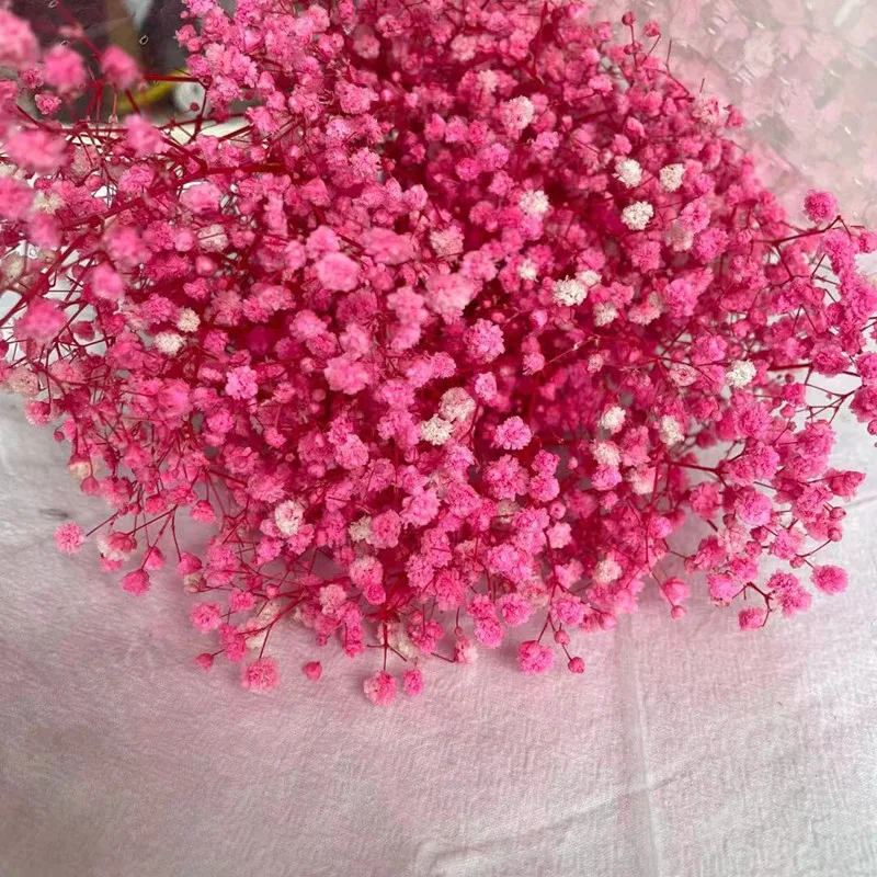 

100g Heads Babies Breath Dried Flowers Natural Fresh Dry Preserved Gypsophila Bridal Bridal Wedding Bouquet Valentines Day Gift