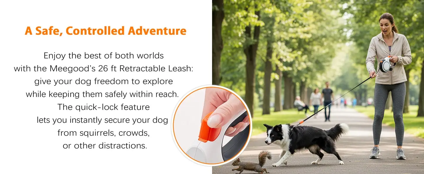 chew resistant dog leash
