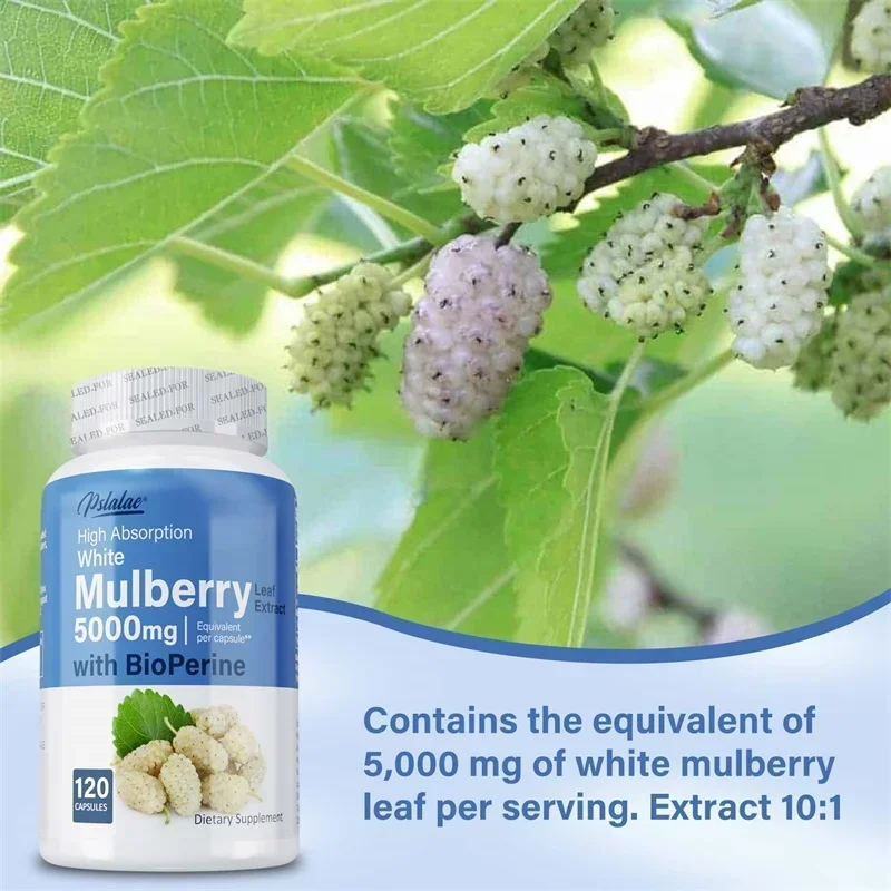 White Mulberry Extract-Supports Cardiovascular Health, Weight Management, and Boosts Immunity