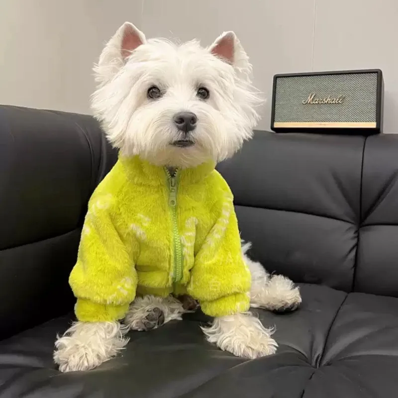 

Зеленая розовая плюшевая куртка, одежда для собак, модная однотонная Дизайнерская одежда с буквами для маленьких собак, одежда для кошек, милые толстые товары для домашних животных, оптовая продажа