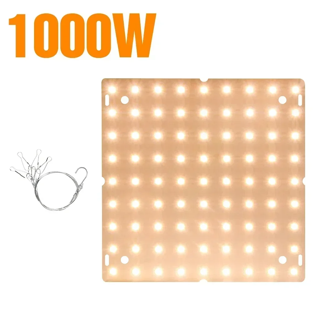 B-81 leds
