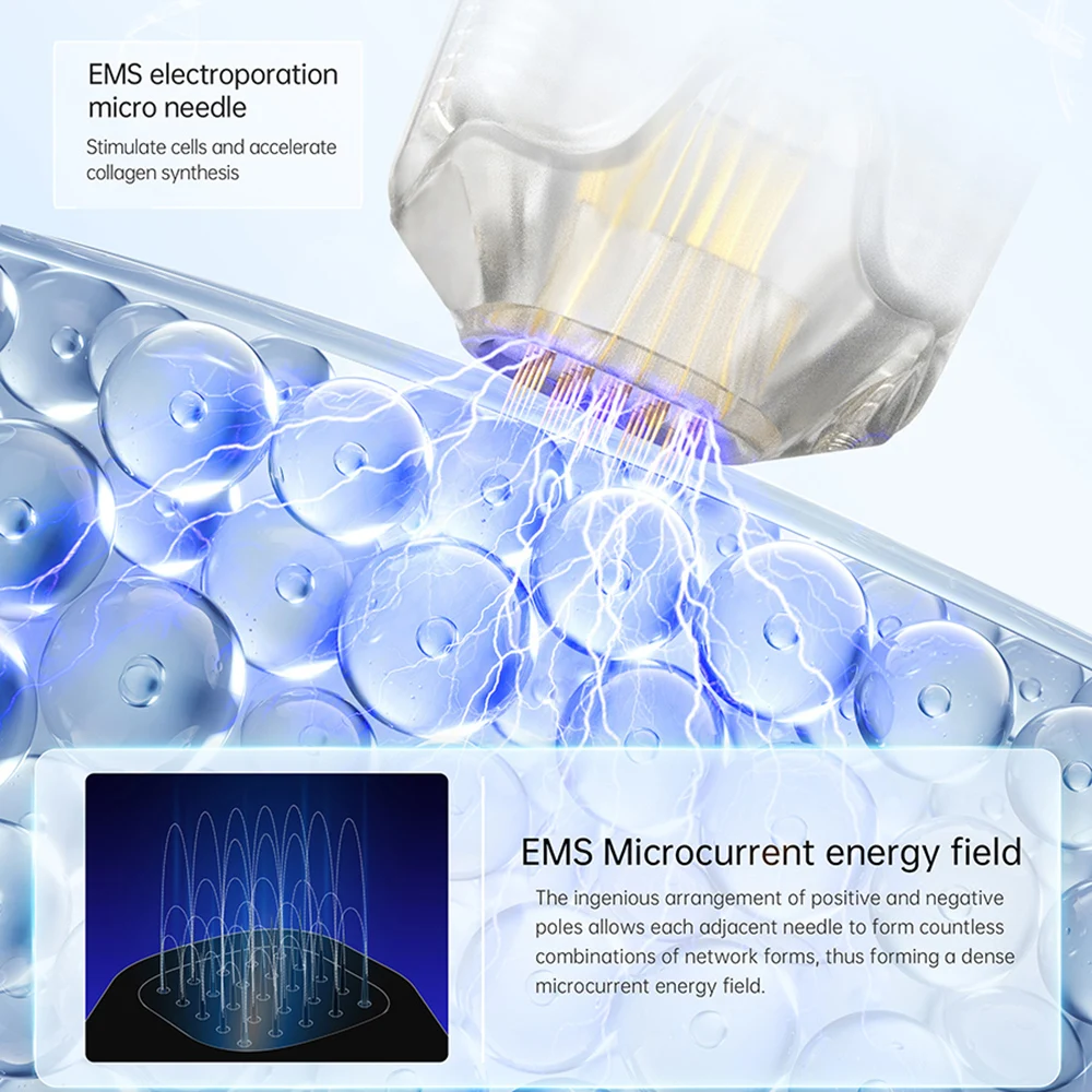 2023  ̿ Q2  ũ  -   Derma    õ LED  ̿