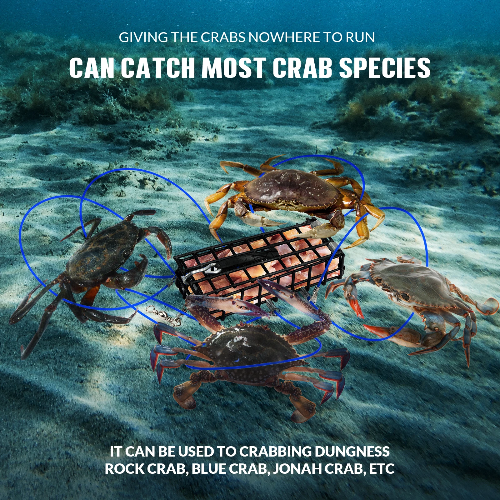 Piège à Crabes à 8 Boucles - En Acier Inoxydable - Pour Pêche En Mer, Kayak, Plage