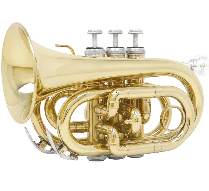 Palm Horn Brass B Flat for Beginners Band, Band, Instrument, Cornet