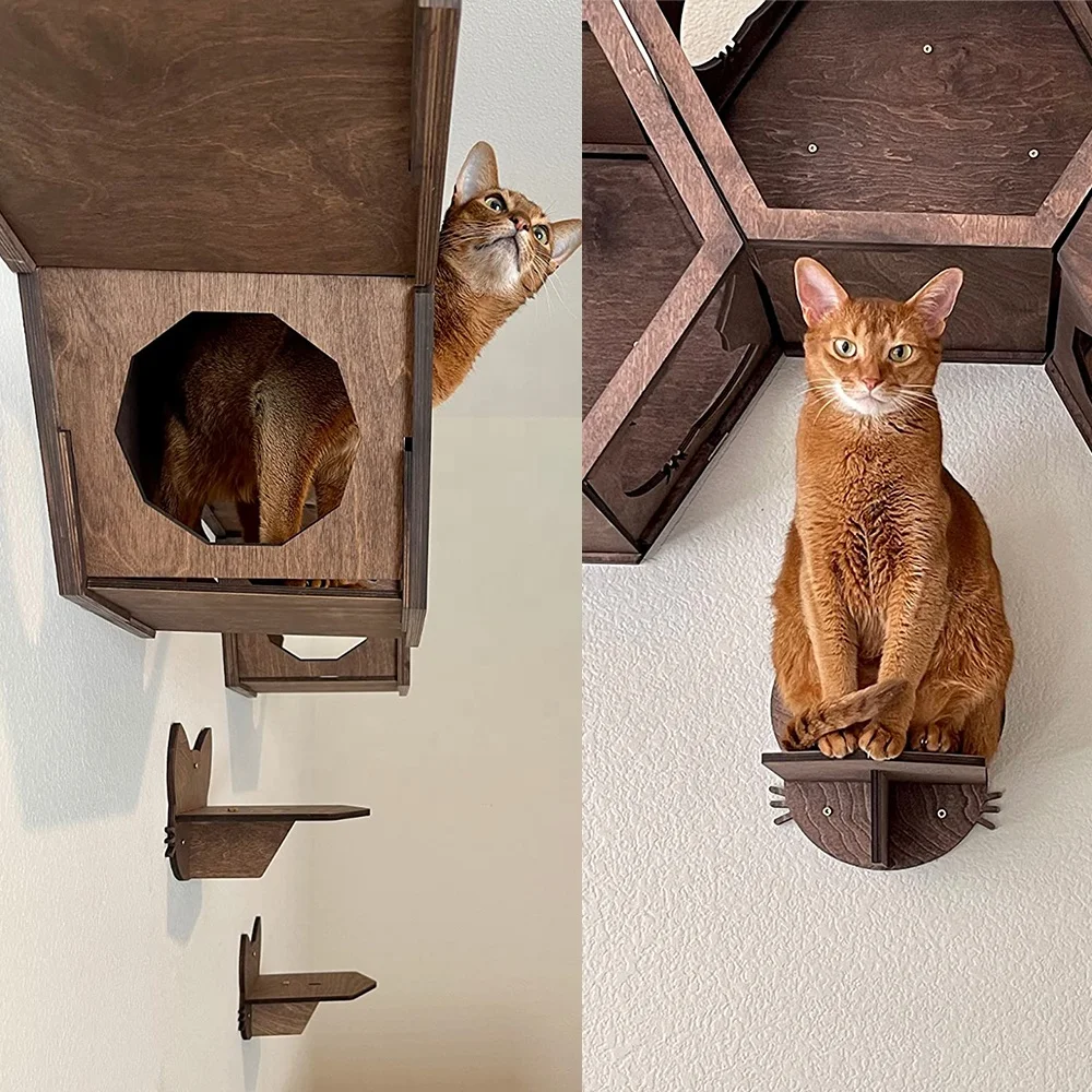 Acrylic Glass Window Cat Bed Furniture Wall Pet Toy Hexagon Cat Shelves Wood Climbing Shelf