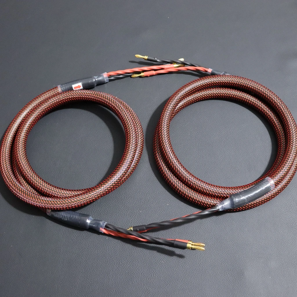 Importato Dai Paesi Bassi Hi-End Van Den Hul Speaker Cable Occ Silver Plated Conductor Hifi Audio Line Banana/Y Vanga Plug