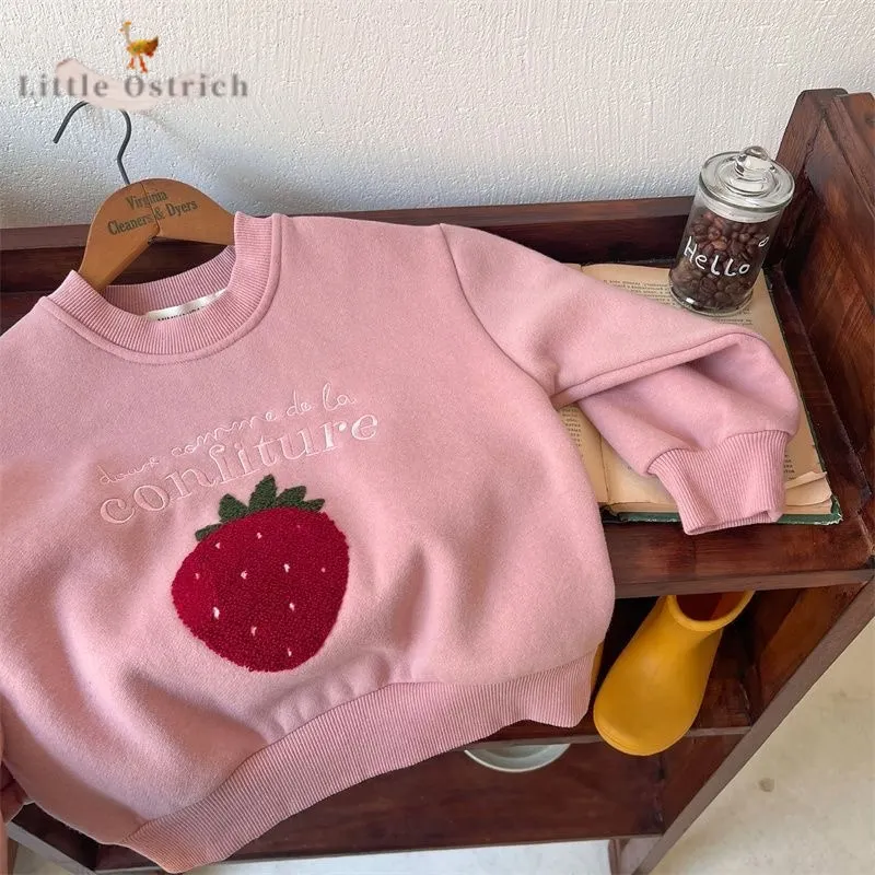 Newborn Baby Girl Boy Embroidery Velvet Hoodie Infant Toddler Child Long Sleeve Sweatshirt Casual Pullover Baby Clothes 9M-5Y