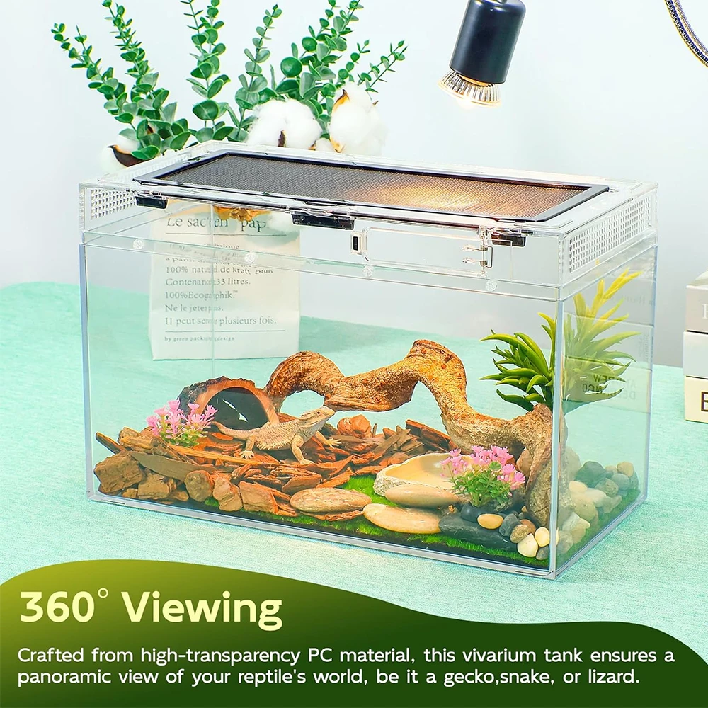 Transparent Reptile Feeding Box 3
