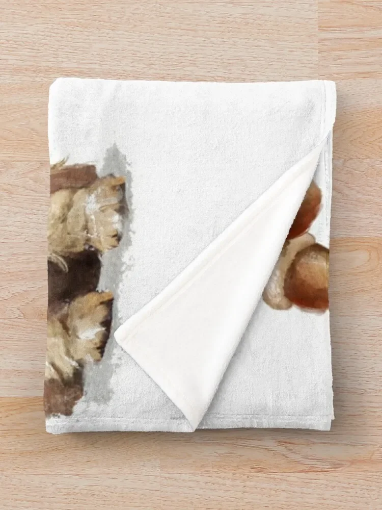 ��Ŀ ���дϾ� ���ο� ���, ħ�� ħ�� ���� ���� ���