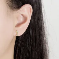 Aide 1pc 925 Sterling Silver Mini Zircon Thick Flat Screw Back Drop Earrings For Women K Gold Piercing Stud Earrings Jewelry 2