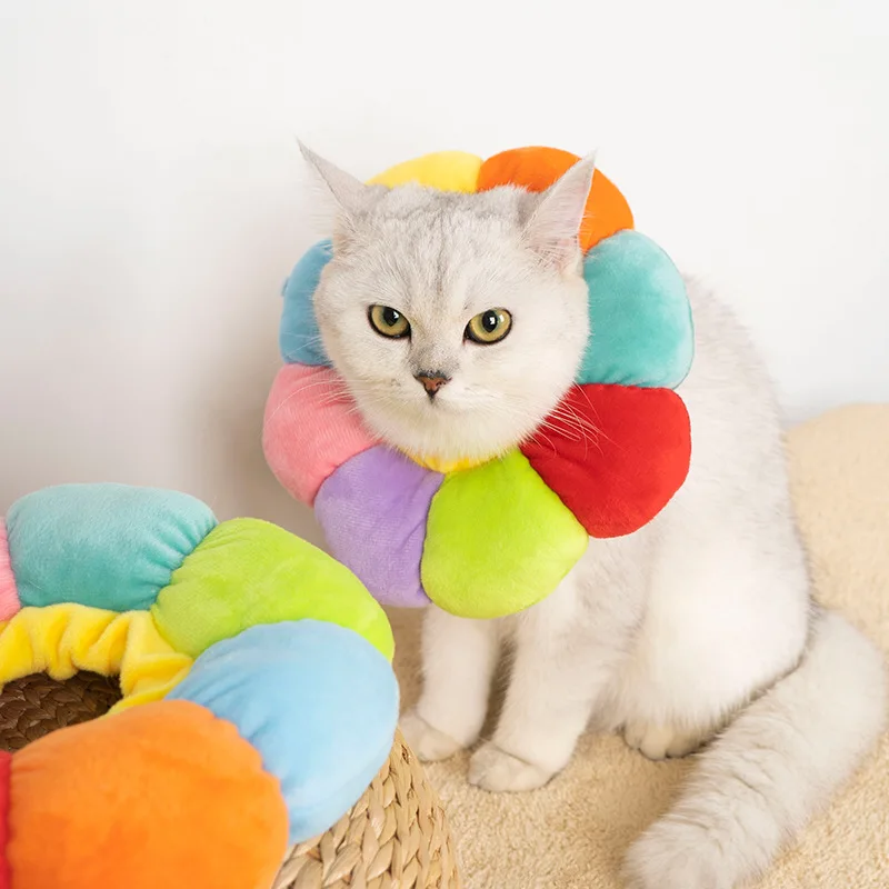 Rainbow Flower Cat Elizabethan Collar Pet Dog Neck Cone Recovery