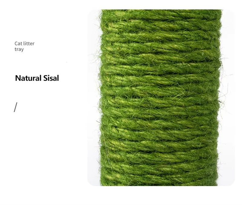 S2237b8e753ad4f208b3800b5a03a1e42v