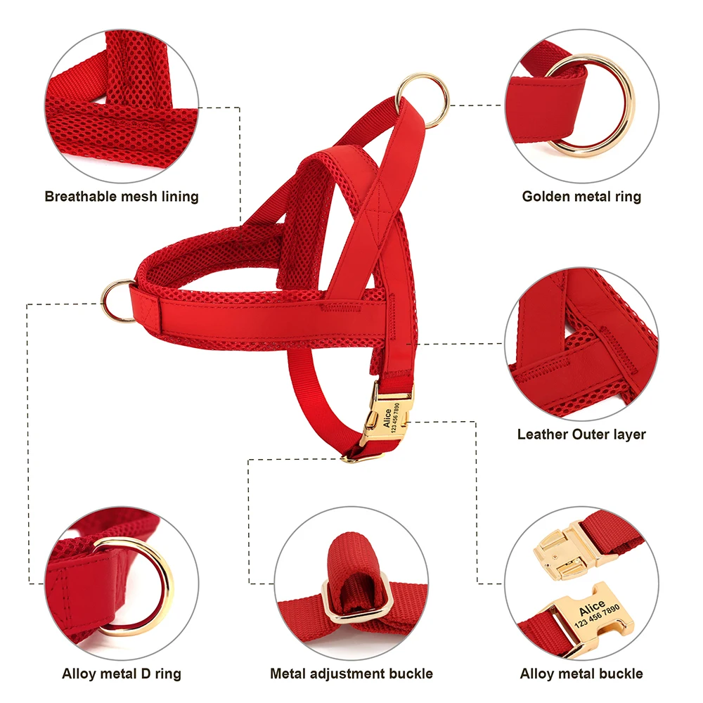 Pet Harness Leash Set Dog Collar Harness Custom No Pull For Small Medium Large Dogs Walking Lead Rope