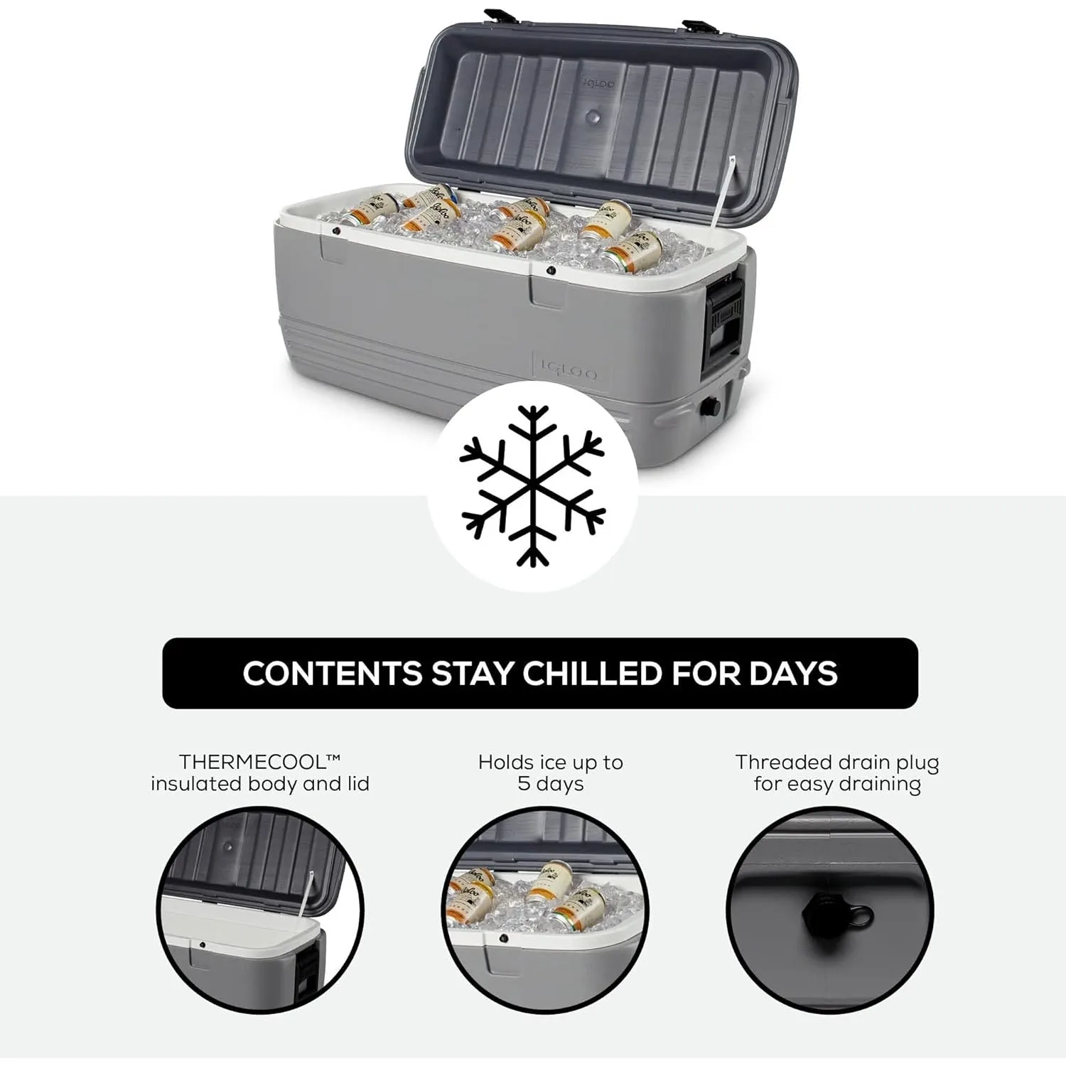 Polar Hard Coolers