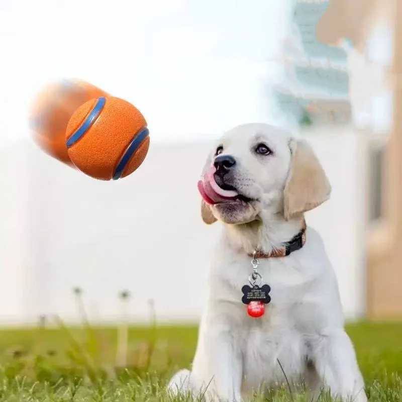 Chew Resistant Dog Toy Detail