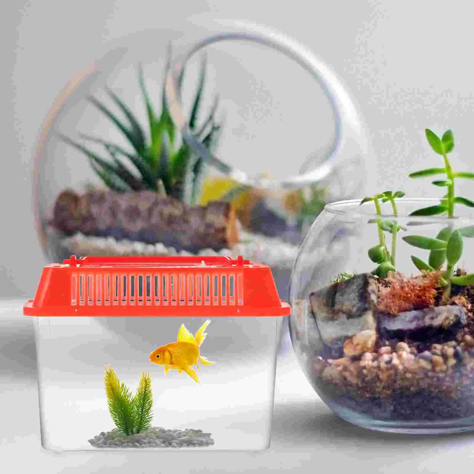 Snapshot of Unheated Aquarium Safes Designed For Goldfish