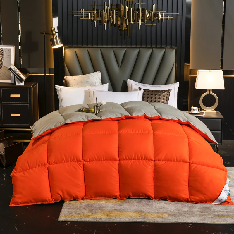 Down velvet quilt Spring Autumn Winter Comforter Four Seasons Blanket Single Double Core