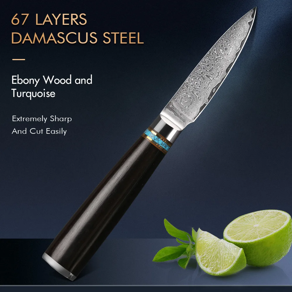 

TURwho-Damascus Steel Paring Knives,67 Layer, Super Sharp, Peeling Fruit, Kitchen Cooking Tool, Ebony and Turquoise Handle, 3.5"