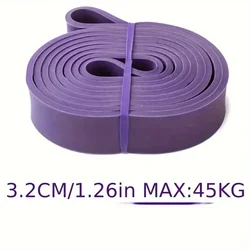 Versatile Pull - Up Resistance Bands for Women - Ideal for Gym, Home, and Travel Workouts (PURPLE)
