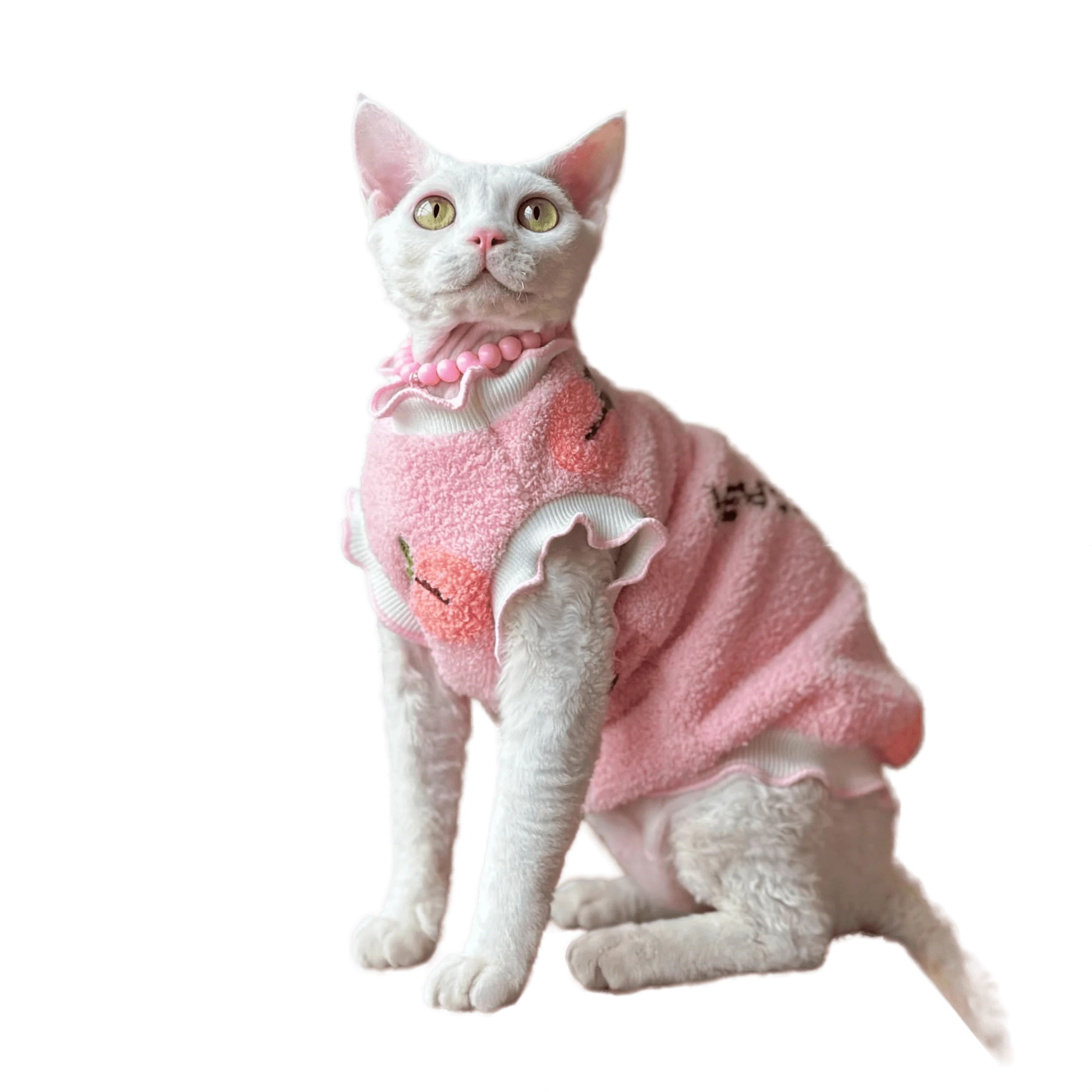 PetSoftWarmDoublesidedFleeceWinterDevonRexThickenedSphinx