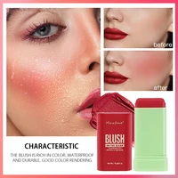 Multi Functional Blush Stick Waterproof Long Lasting Easy Color Delicate Moisture 5
