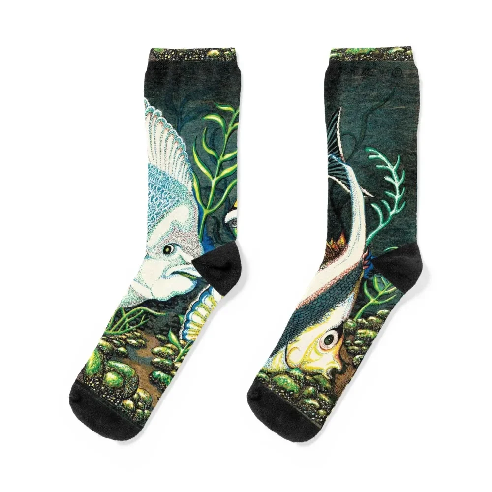 

Tropical Fish Socks luxe Men's Socks Man Women's