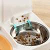 Cat for feeder Cat water dispenser Cat bowl Dog food bowl Automatic feed Cat food feeder Pet supplies 4