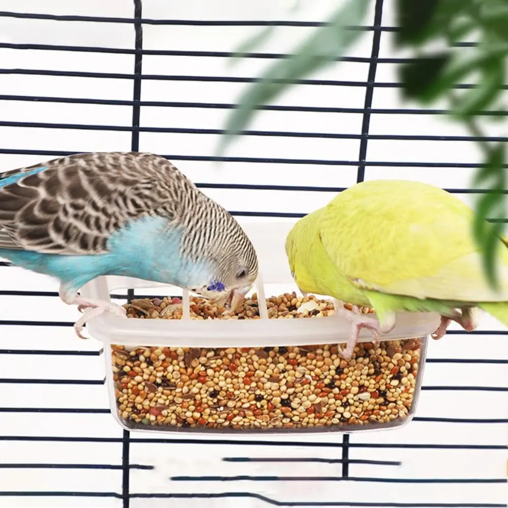 حاوية طعام وماء للببغاوات والطيور | متجر الجيل الأ...