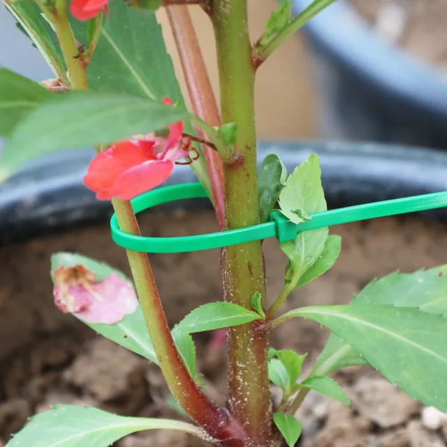 300/50PCS Plants Fixed Ties Multifunctional Green Nylon Cable Ties Self-locking Heavy Duty Fastening Ring Sealing Wraps Strap 2