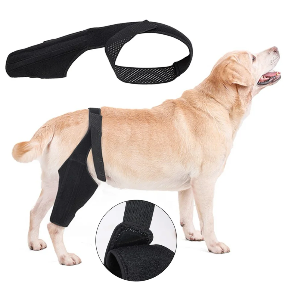 Adjustable Dog Knee Brace Wear Resistant Support