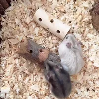 Juguete Natural para mascotas, productos de molienda para mascotas pequeñas, productos de molienda para hámster y conejo hechos de madera de manzano - Imagen 6
