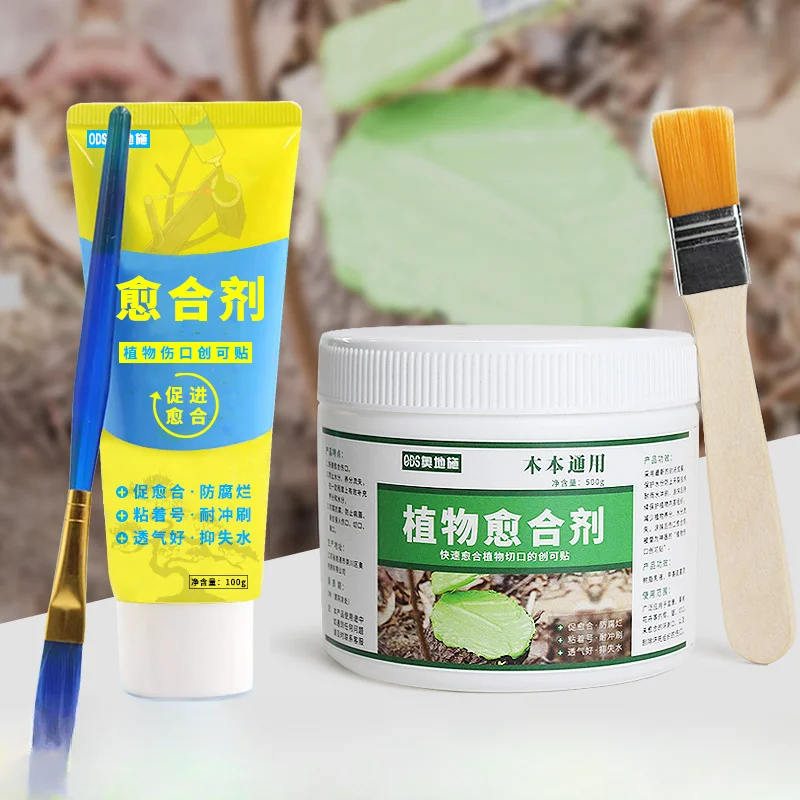 Plant Wound Healing Agent for Potted Fruit Tree Grafting