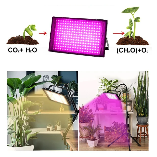 50/100/200/300W Led Grow Világos Teljes Spektrum Növény Növekvő Könnyű Fitolamutó Lámpák Beltéri Növények Virág Palántákhoz - Image 6