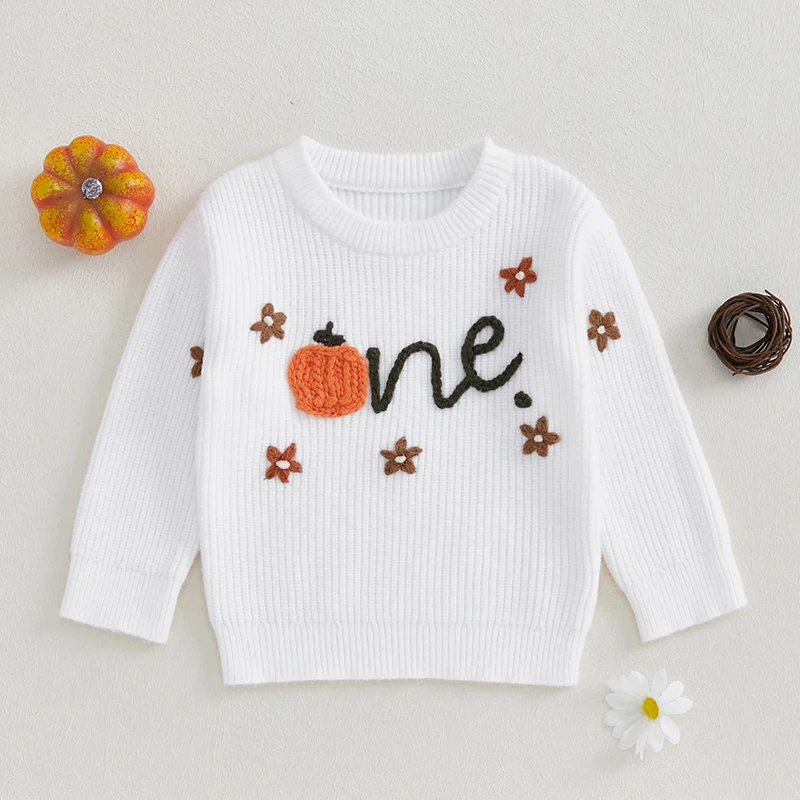 Spring Winter Knit Baby Sweater for Boy Girl Clothes Pumpkin Letter Flower Embroidery Infant Long Sleeve Pullover Tops Jumpers
