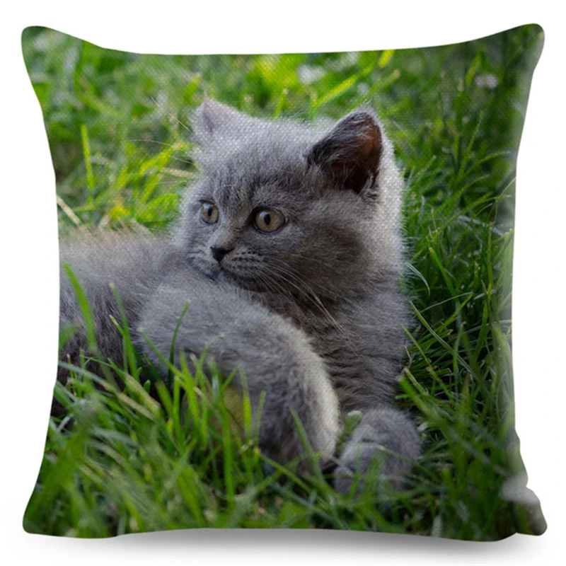 Cute Pet Animal Cushion Cover 3D Fold Ear Cat Pillow Covers 45*45cm Orange cat Blue Cat Linen Pillow Case Car Sofa Home Decor 