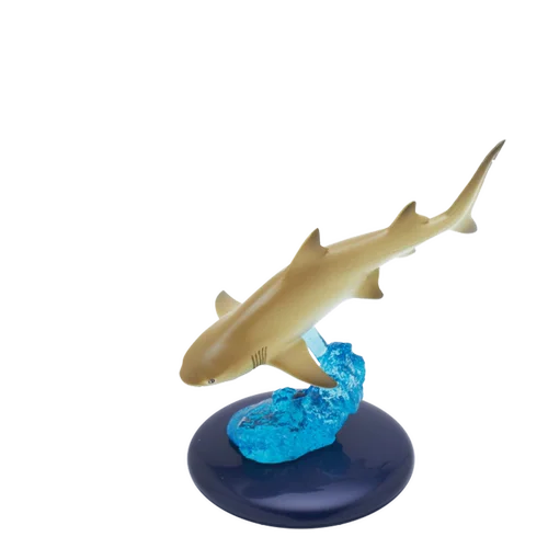 H&O SHARKUN フィギュア新品　最安値 Amazon.co.jp: TAMASHII NATIONS S.H.フィギュアーツ ばくおん