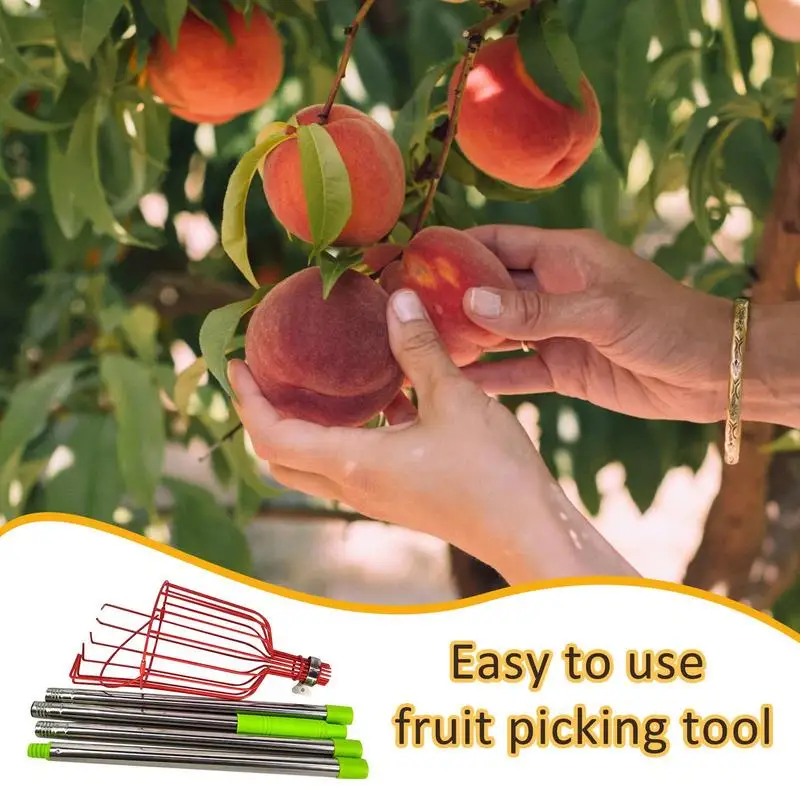 

Fruit Picker Pole Lightweight Fruit Picking Equipment For Mangoes Avocados Apples And Oranges Long Telescopic Metal Catcher Pole