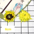 Sunflower bud 4