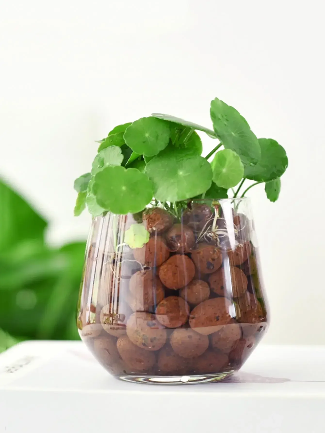 Description Picture 4 of item500g  Clay Pebble Combination Set, Used For Garden Decoration, Micro-Landscape, Bonsai Decoration, Aquarium