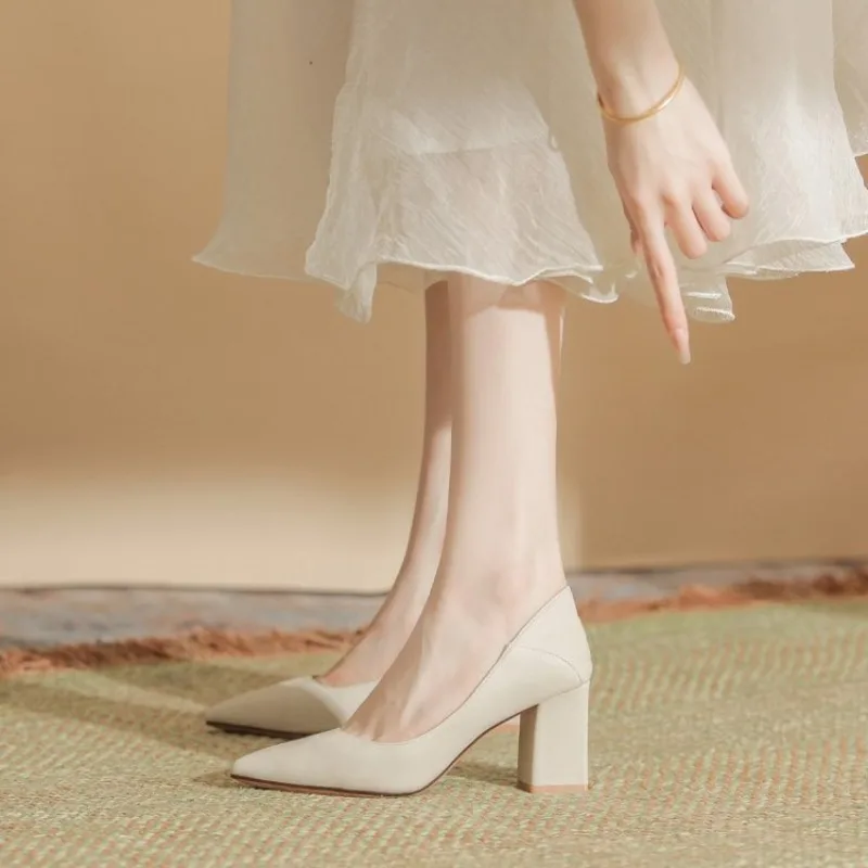 Women's Block Heel Pumps - Pointed Toe Office & Formal Dress Shoes