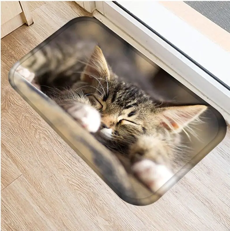 Silk Ring Door Mats, Cute Cat Bathroom Anti-skid Rug, Entrance Door Carpet Waterproof  Doormat Bedside Foot Mat Silk Ring Anti-skid Living Room - Temu