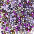 Purple multicolor