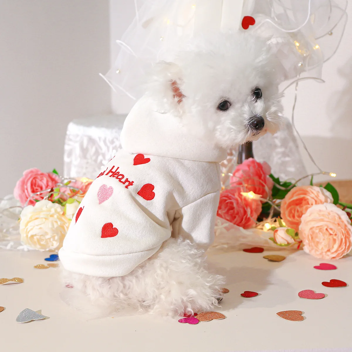 S226a0c70724b49bba1dae2520431ec9fR