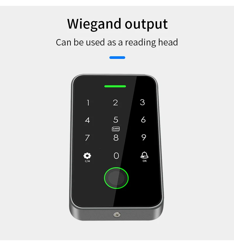 13.56Mhz Rfid Card Keypad Waterproof Tuya APP Door Lock Door Access Control Syst