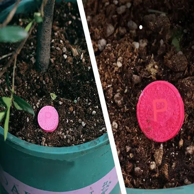 Otthoni Kertészet Univerzális Lassú Kiadású Tabletta Szerves Műtrágya Növényi Virágok Nitrogén Foszfor Kálium Felszabadulási Ágens - Image 6