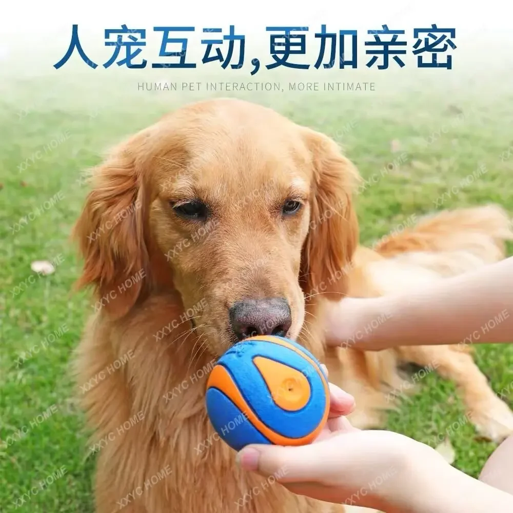 Pet Elastic Rubber Ball Luminous Ball Golden Retriever/Border Collie Training Tour Bite-Resistant Floating Water Dog Toy