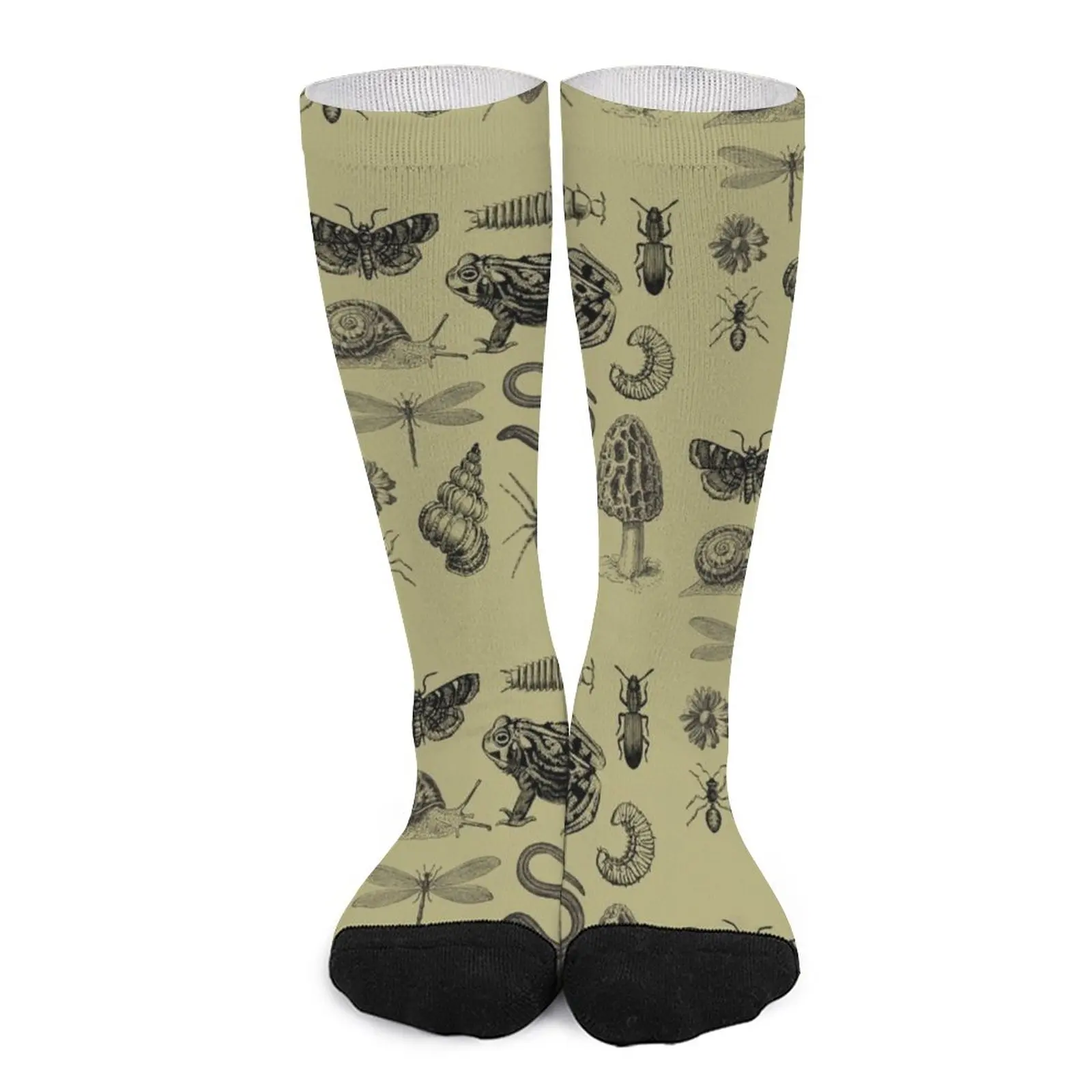 Vintage Biology Nature Lover's Collection: Cute Frog, Mushroom, Snail, and Moth Insects for Science and Natural History En Socks mushroom natural плед