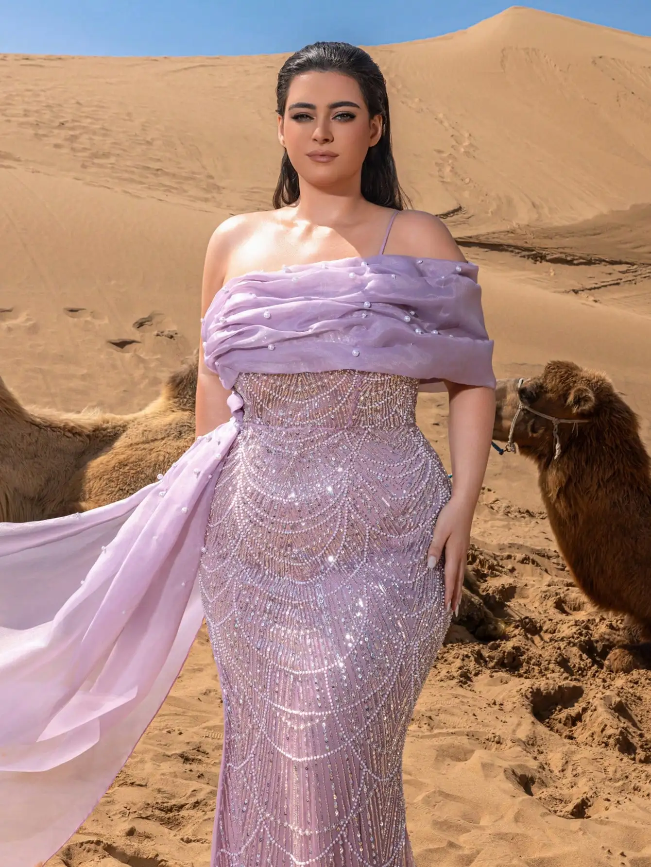 فساتين سهرة حورية البحر مطرزة بمقاس كبير مع خط عنق...